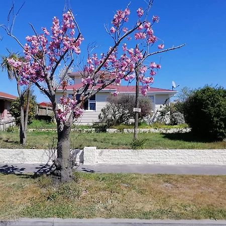 Homestay Double Room, Near The City Center Christchurch Zewnętrze zdjęcie
