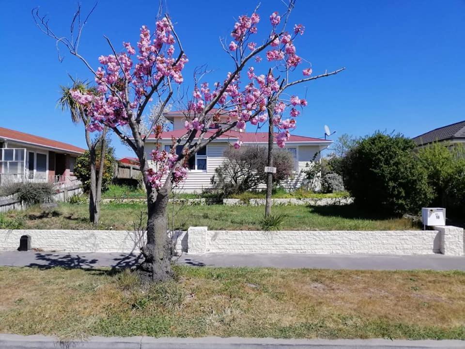 Homestay Double Room, Near The City Center Christchurch Zewnętrze zdjęcie